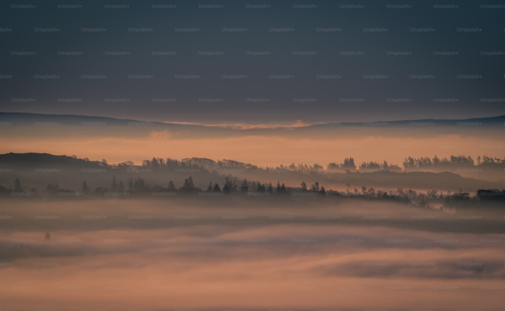 a foggy landscape with trees and mountains in the distance