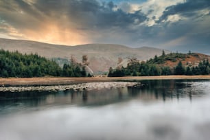 a body of water surrounded by a forest