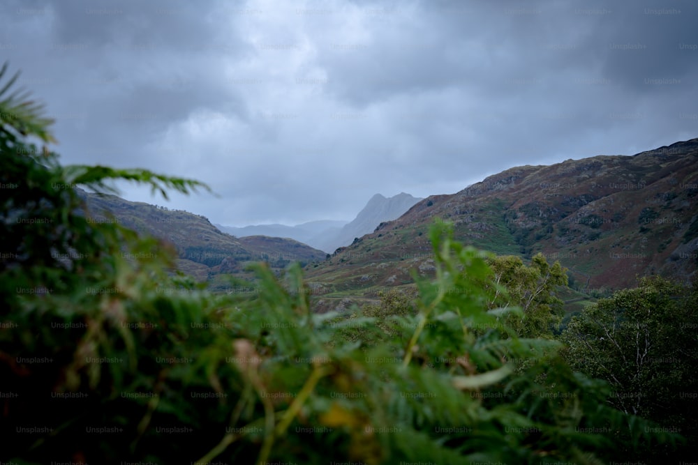 a view of a mountain range from a distance