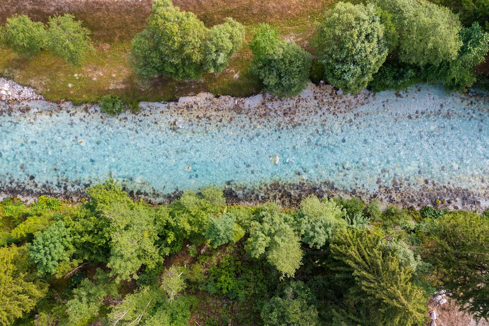Una vista aérea de un cuerpo de agua rodeado de árboles