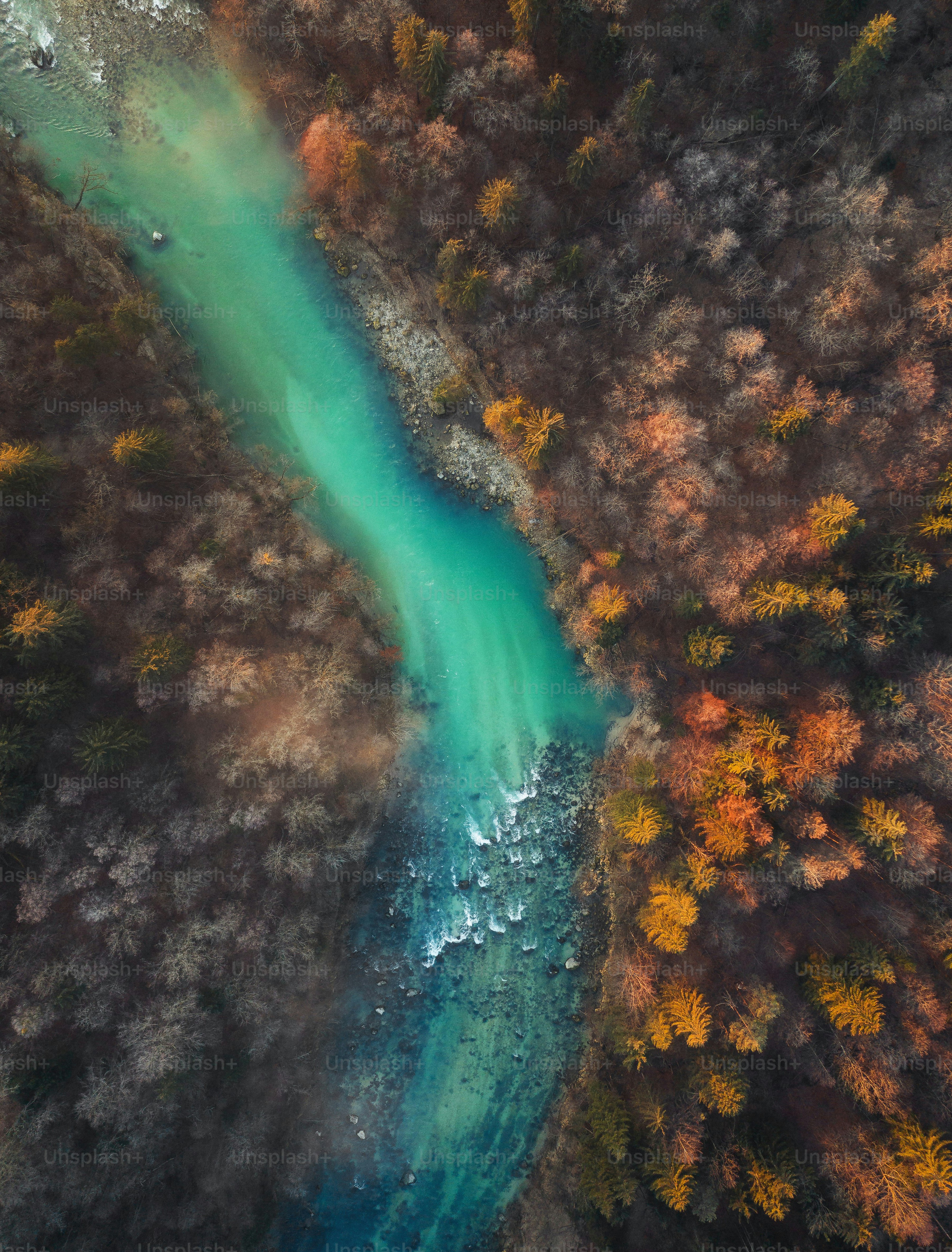 an aerial view of a river surrounded by trees