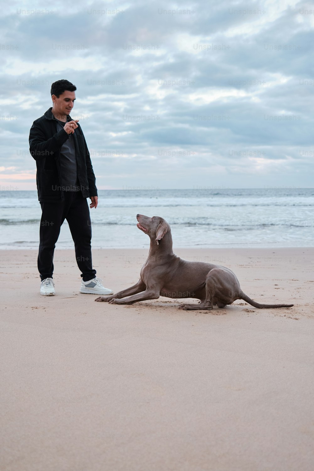 a man standing next to a dog on a beach
