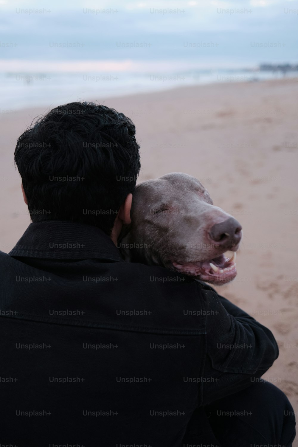 a man holding a dog on the beach