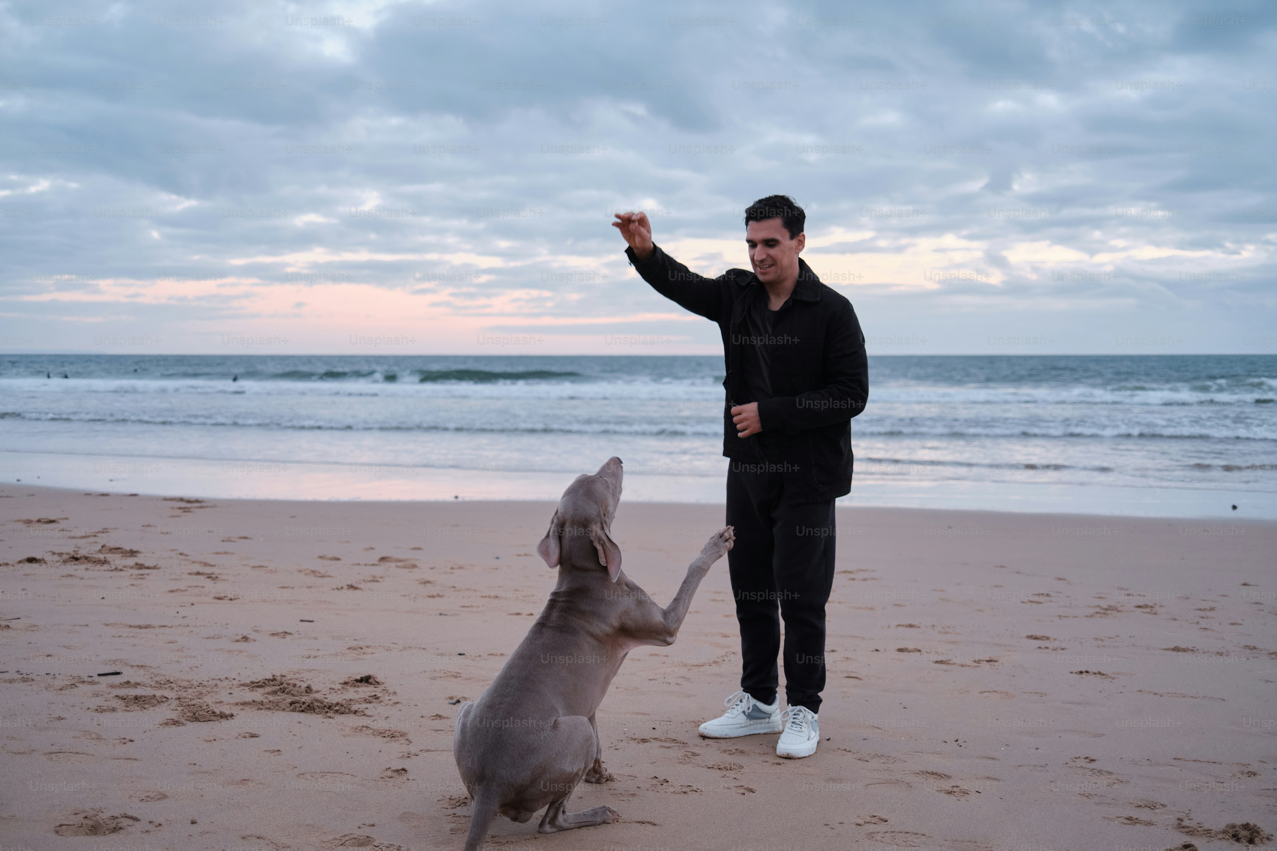 Ein Mann steht neben einem Hund auf einem Sandstrand
