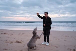 a man standing next to a dog on top of a sandy beach