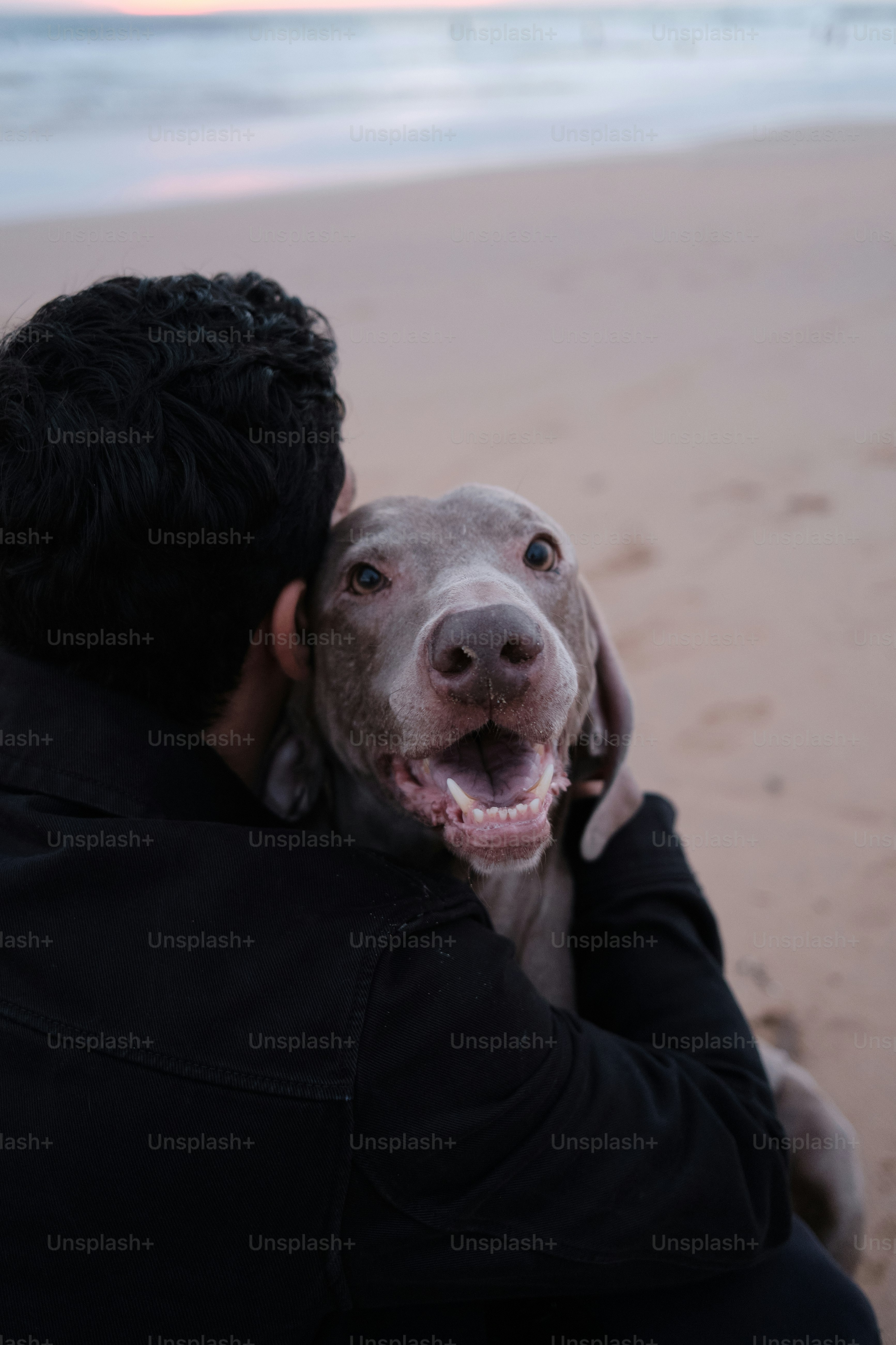 a man holding a dog on the beach