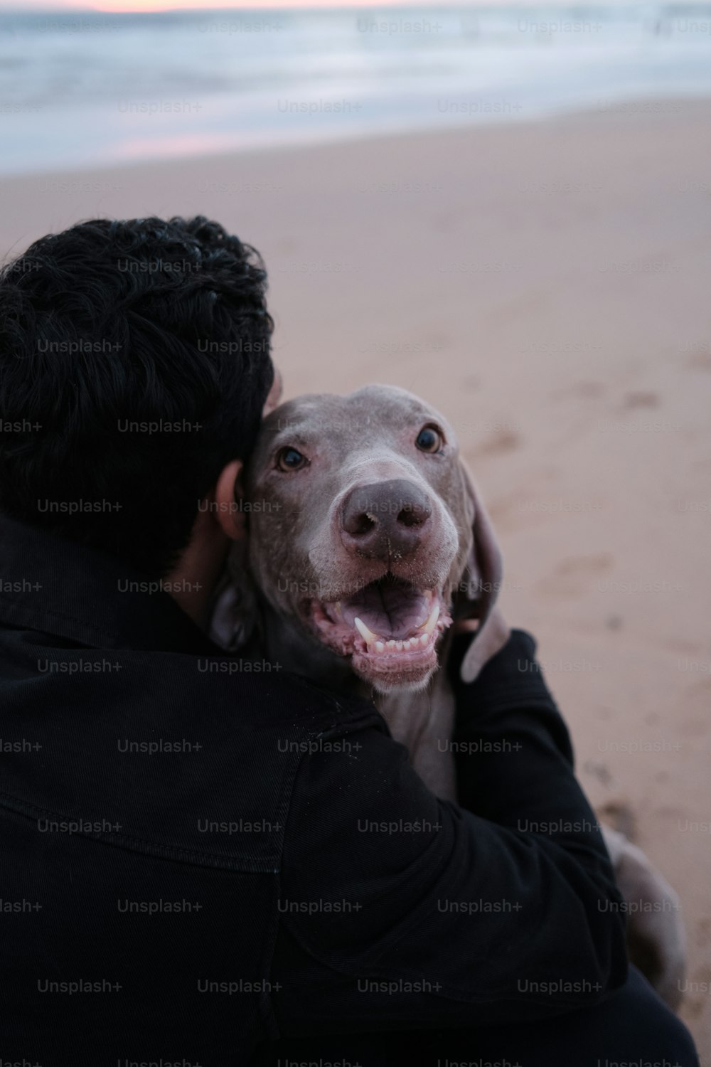 Un homme tenant un chien sur la plage