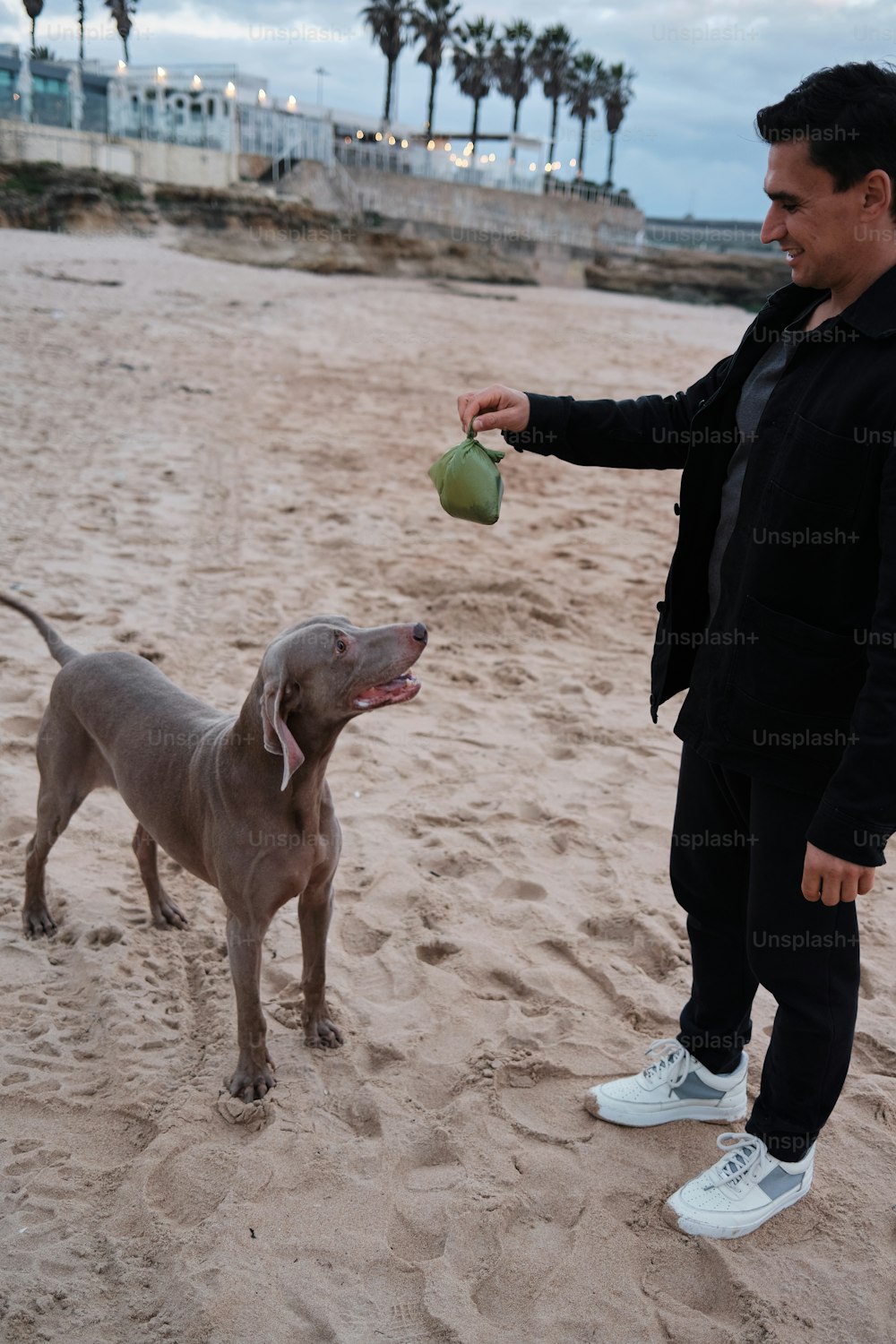 犬の隣の砂浜の上に立っている男