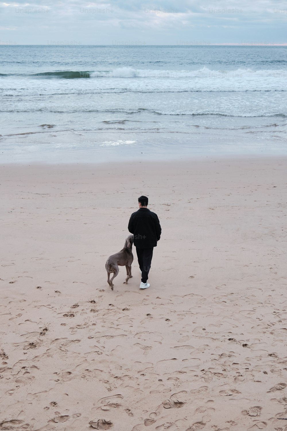 um homem que passeia um cão em uma praia ao lado do oceano