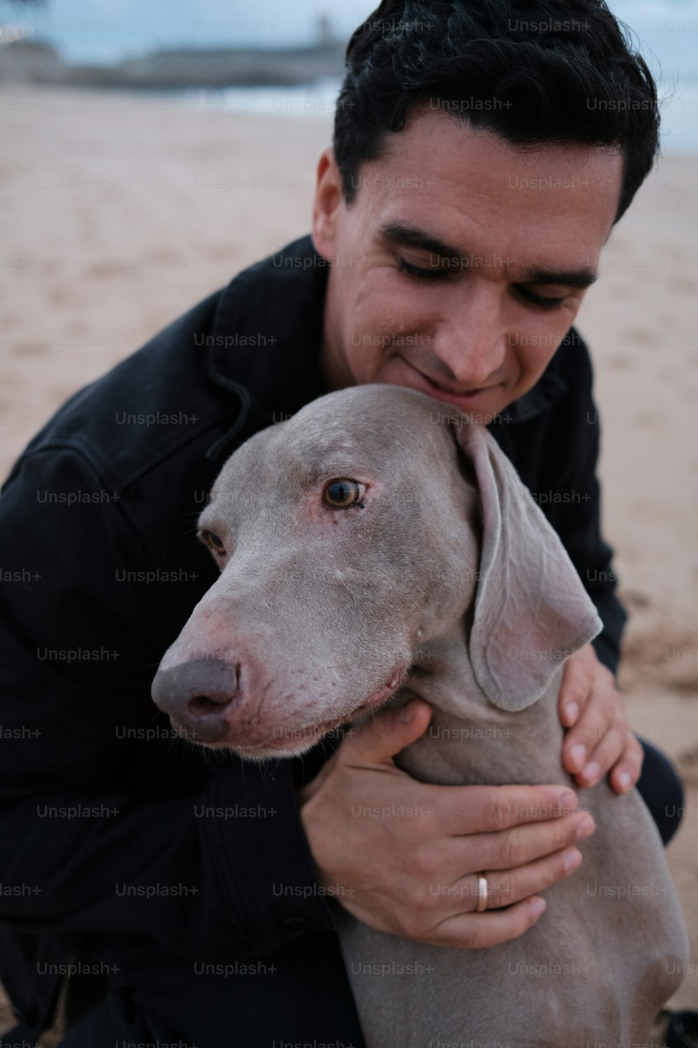 ビーチで犬を抱く男