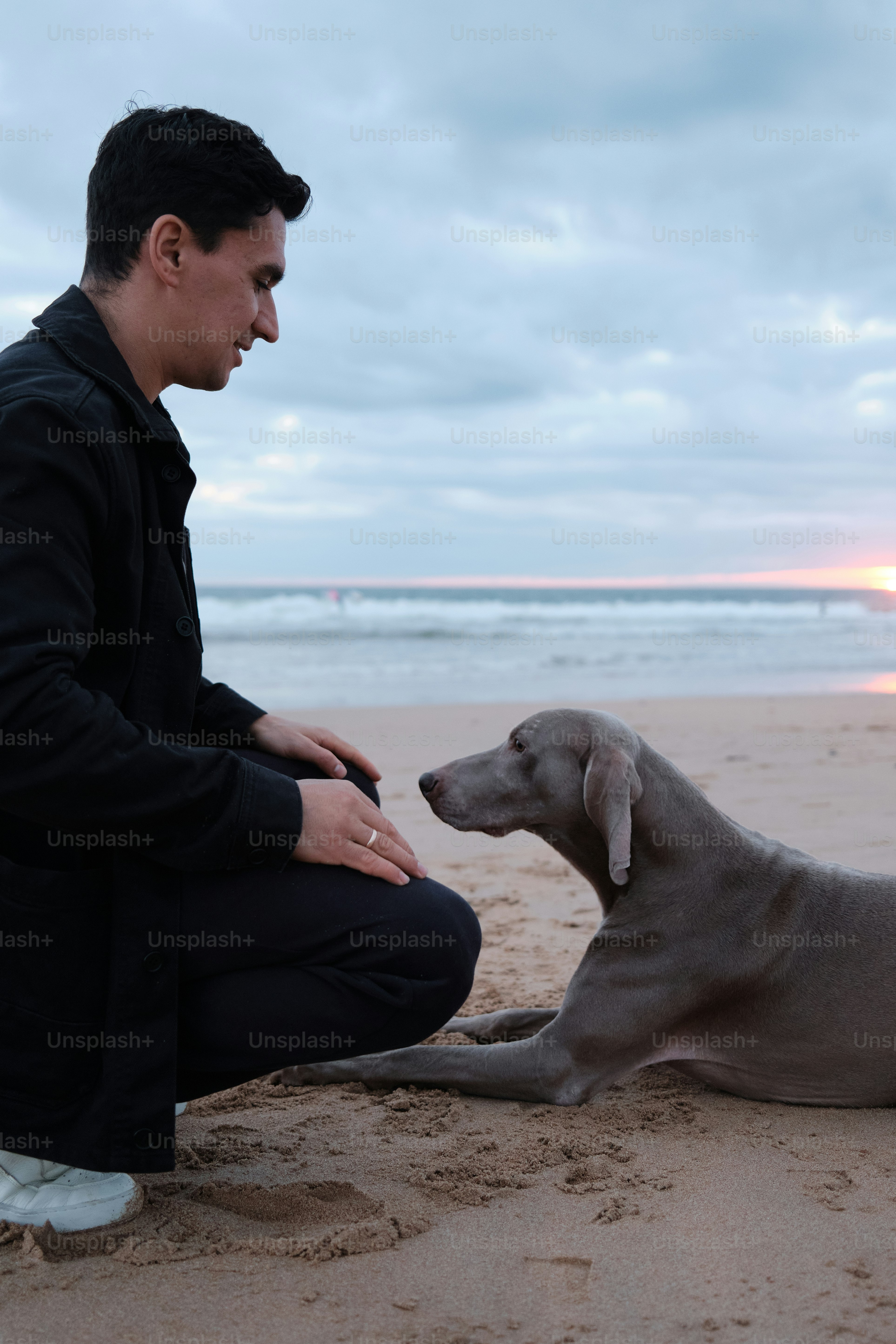 Ein Mann kniet neben einem Hund am Strand