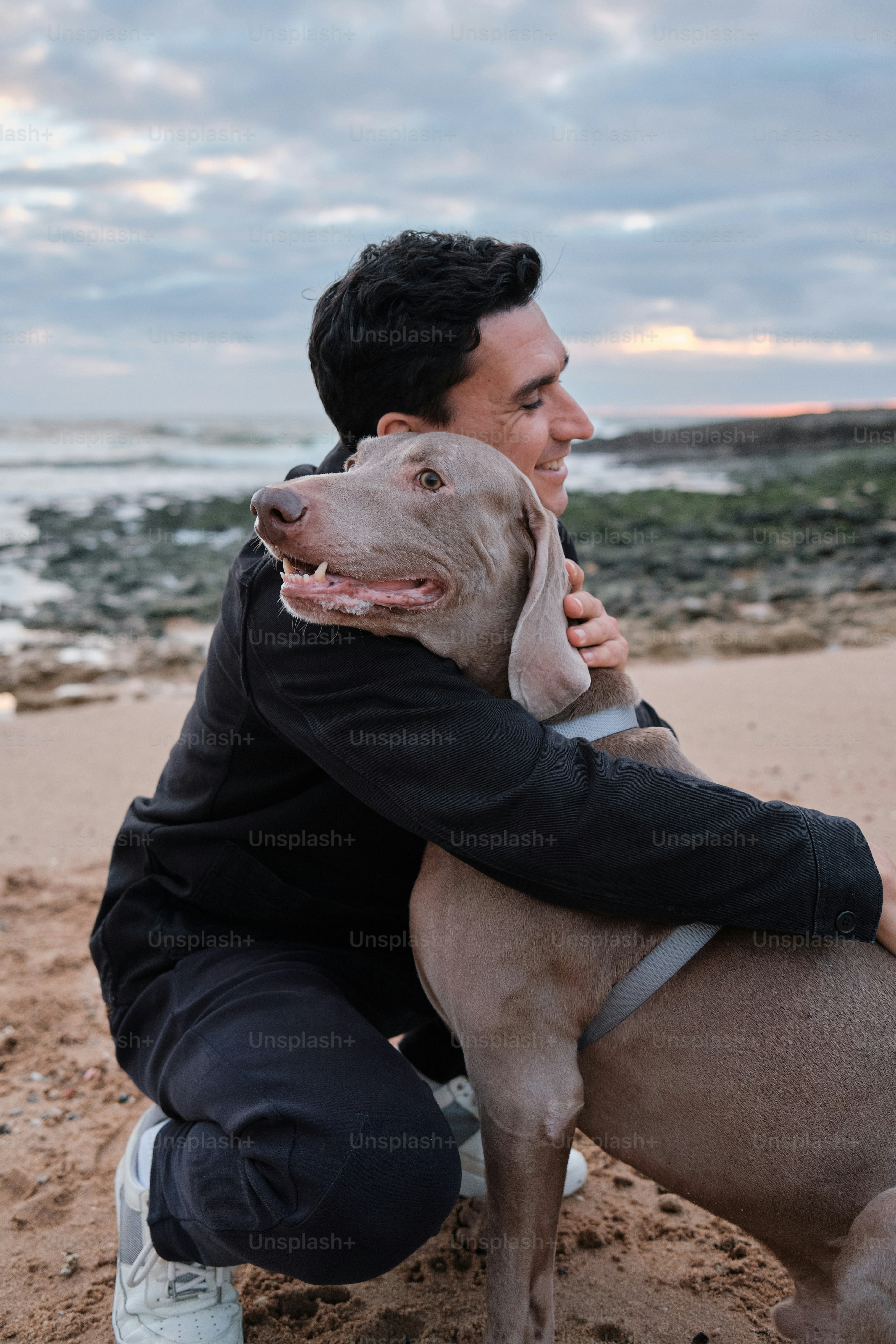 a man holding a dog on the beach