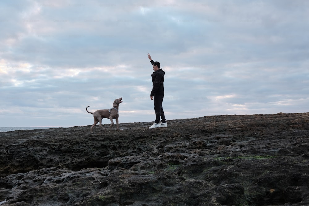 犬の隣の岩だらけのビーチの上に立っている男