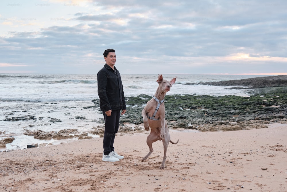 a man standing on a beach next to a dog