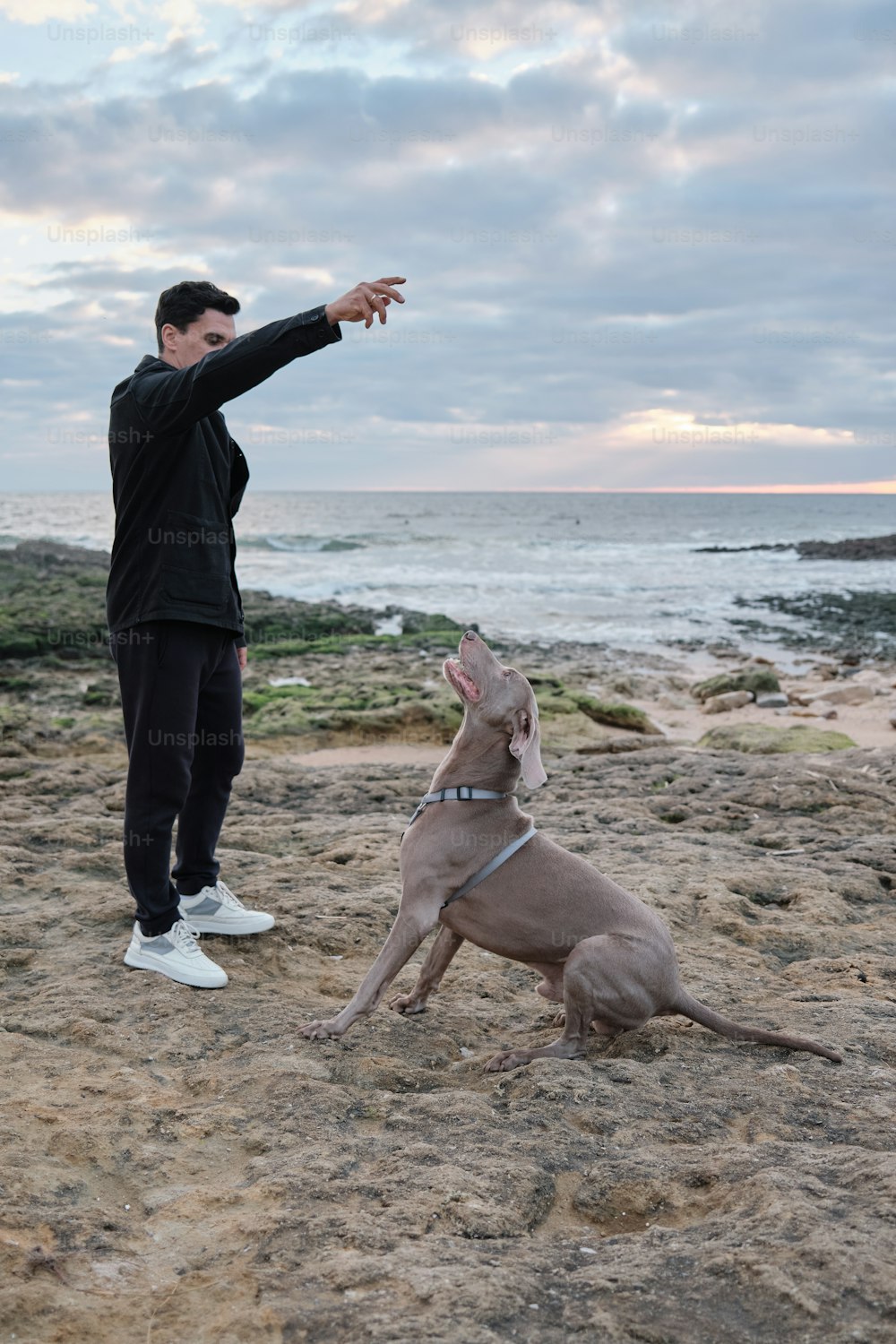 a man standing next to a dog on top of a sandy beach