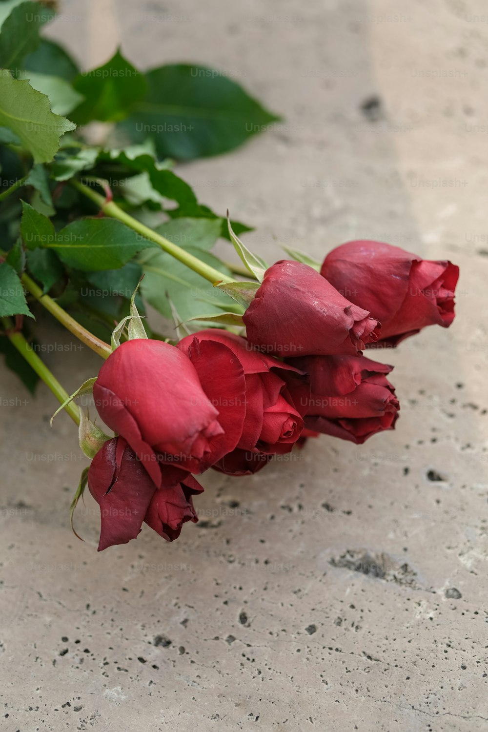Un ramo de rosas rojas tiradas en el suelo
