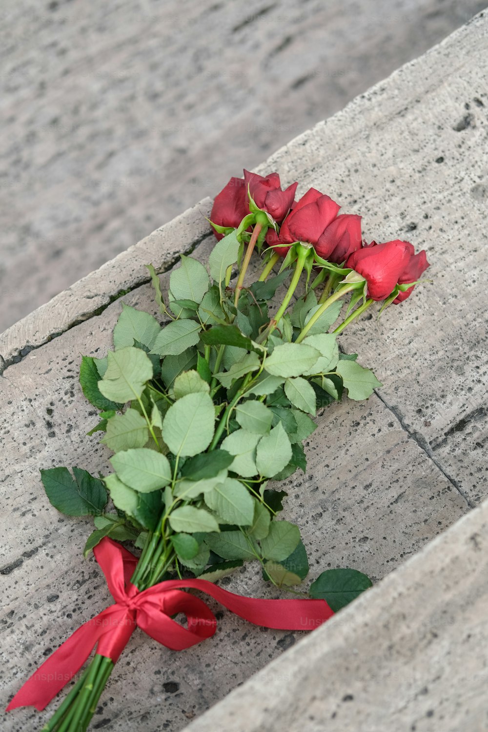un bouquet de roses qui reposent sur le sol