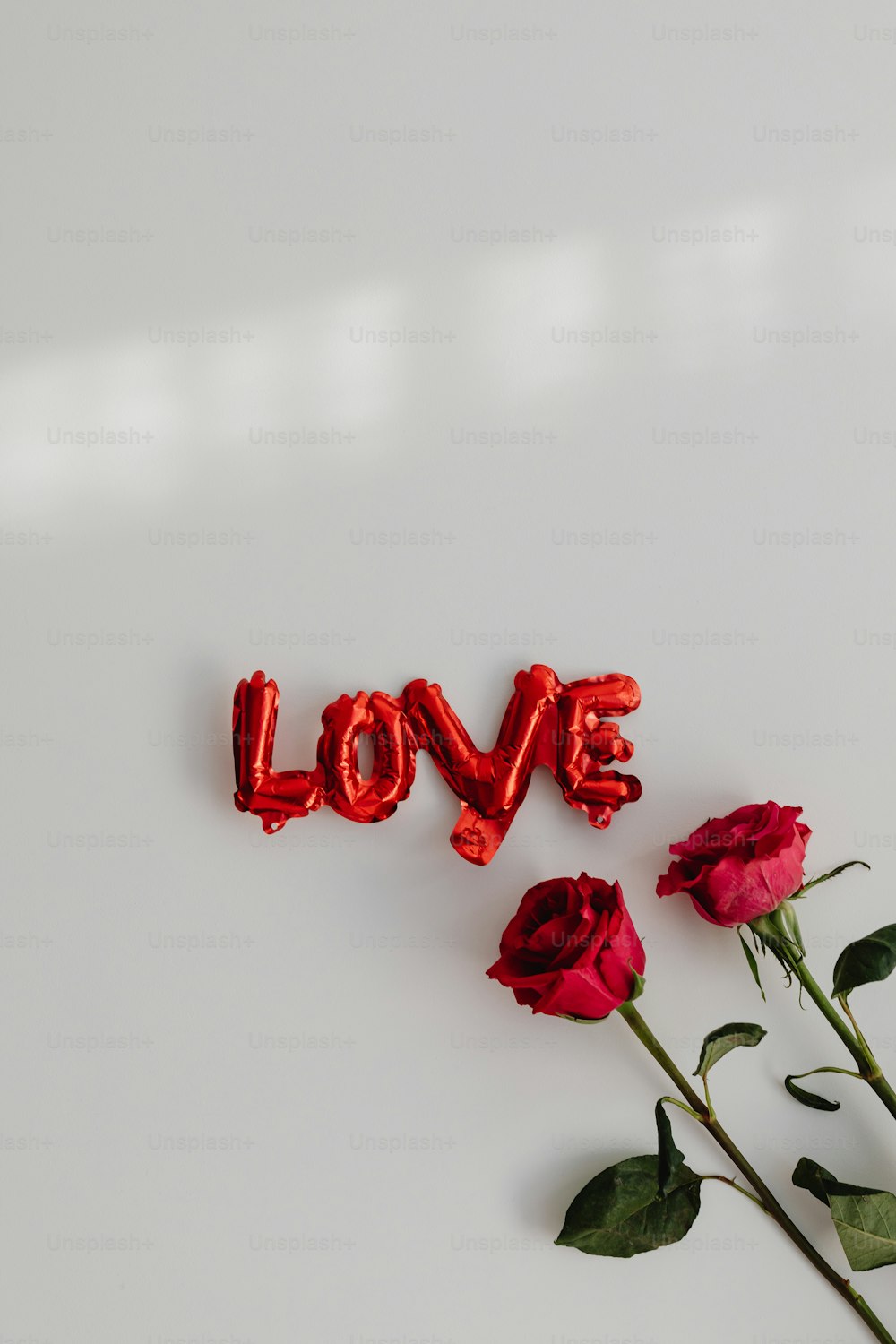 사랑이라는 단어 옆에 앉아있는 빨간 장미