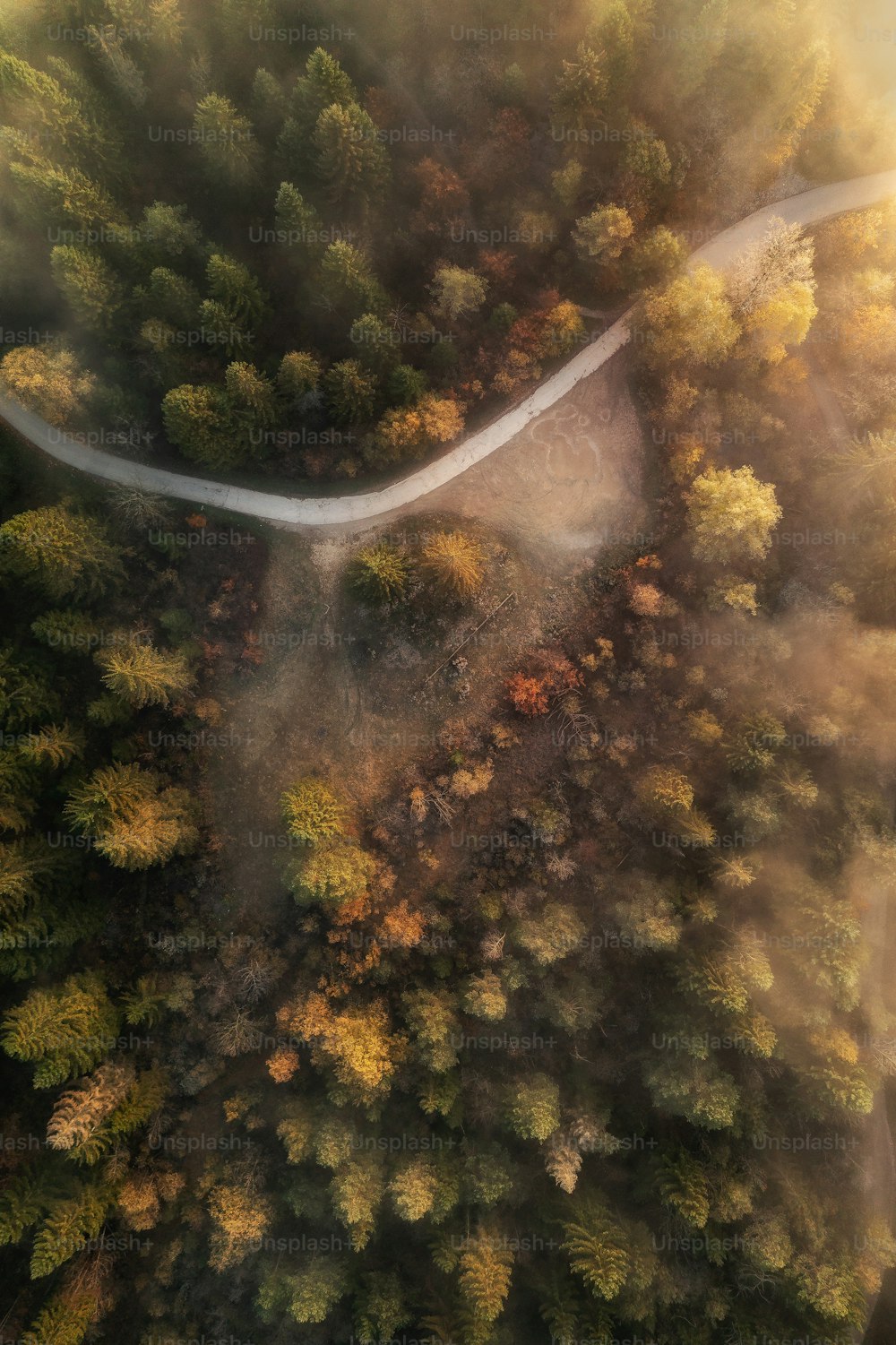 a bird's eye view of a winding road in the middle of a forest