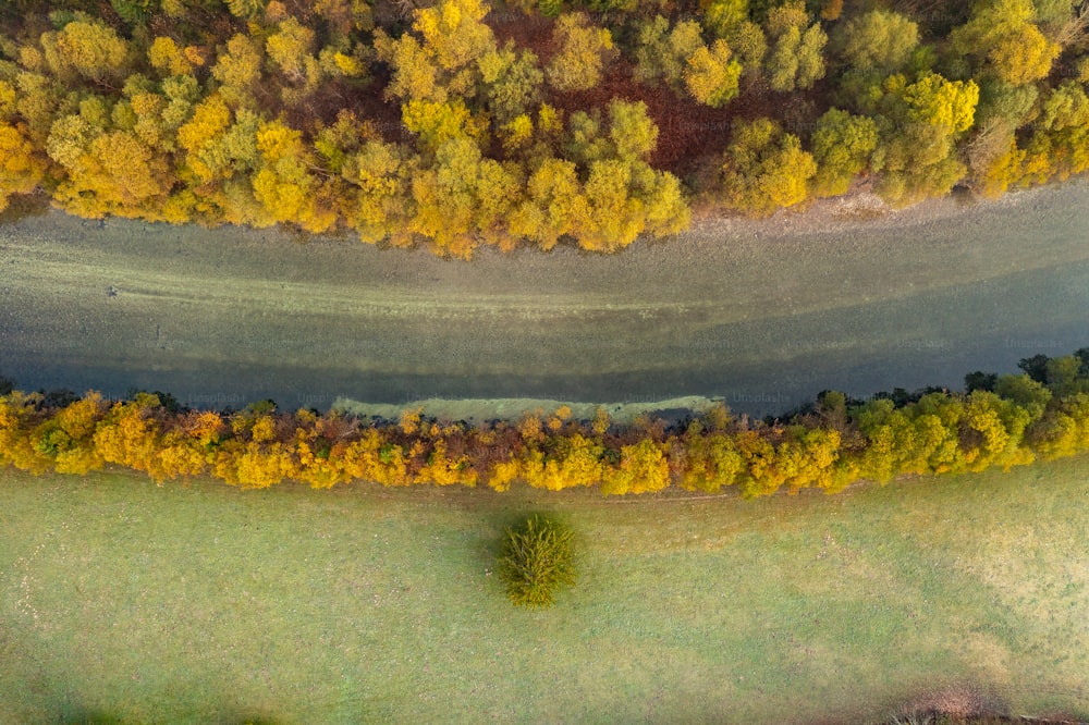 uma vista aérea de um rio cercado por árvores