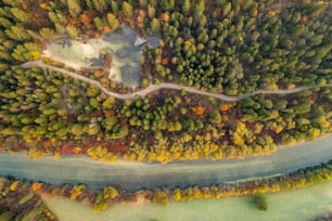 an aerial view of a river running through a forest