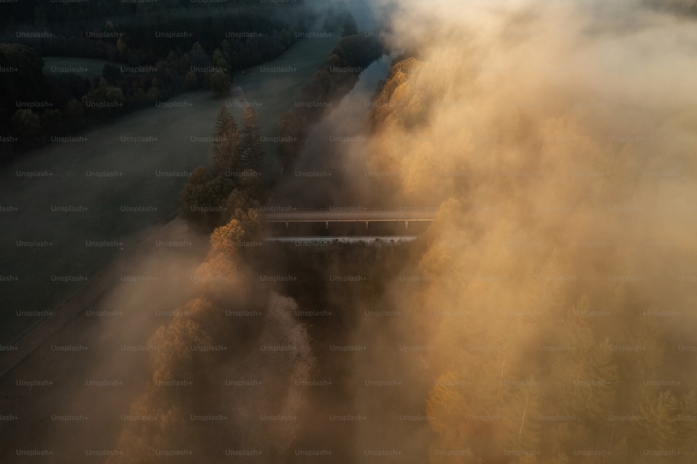 a train traveling through a foggy forest