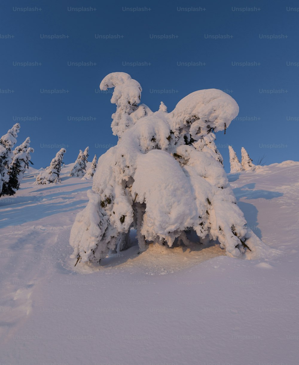 雪に覆われた斜面の上に座っている大きな雪の山