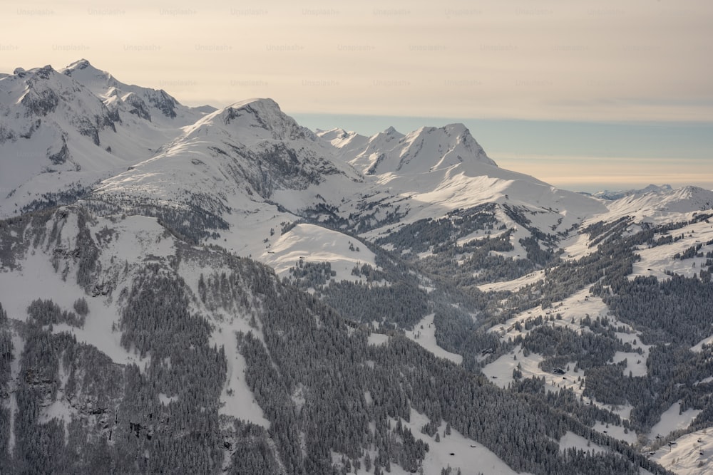 a mountain range covered in snow and trees