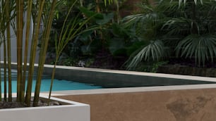 a pool with a plant next to it
