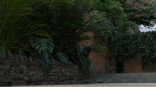 a man riding a skateboard down a street next to a wall