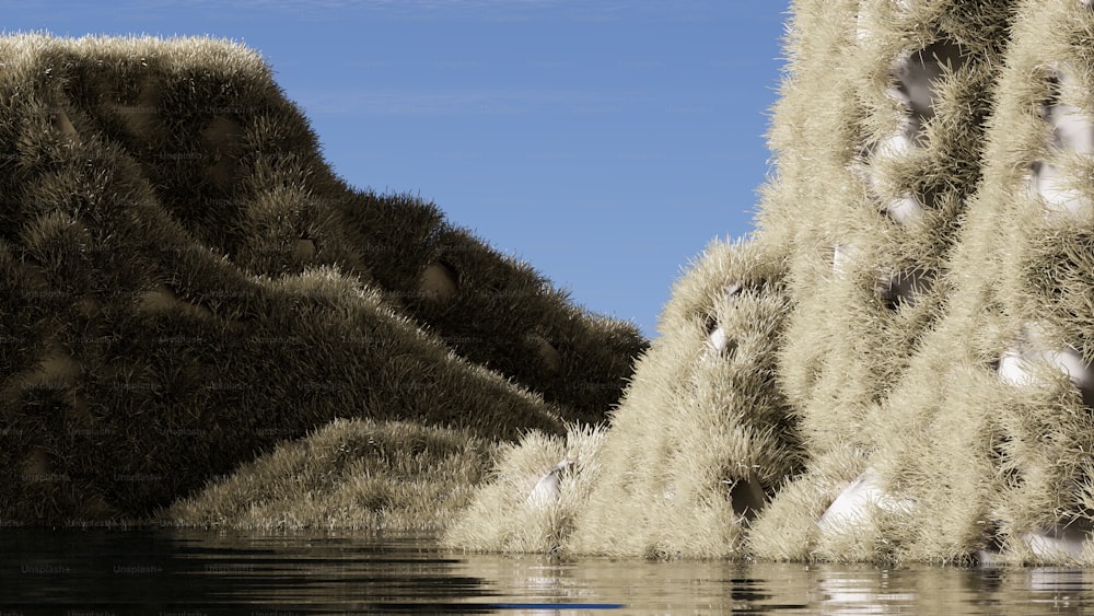 a large body of water surrounded by tall grass