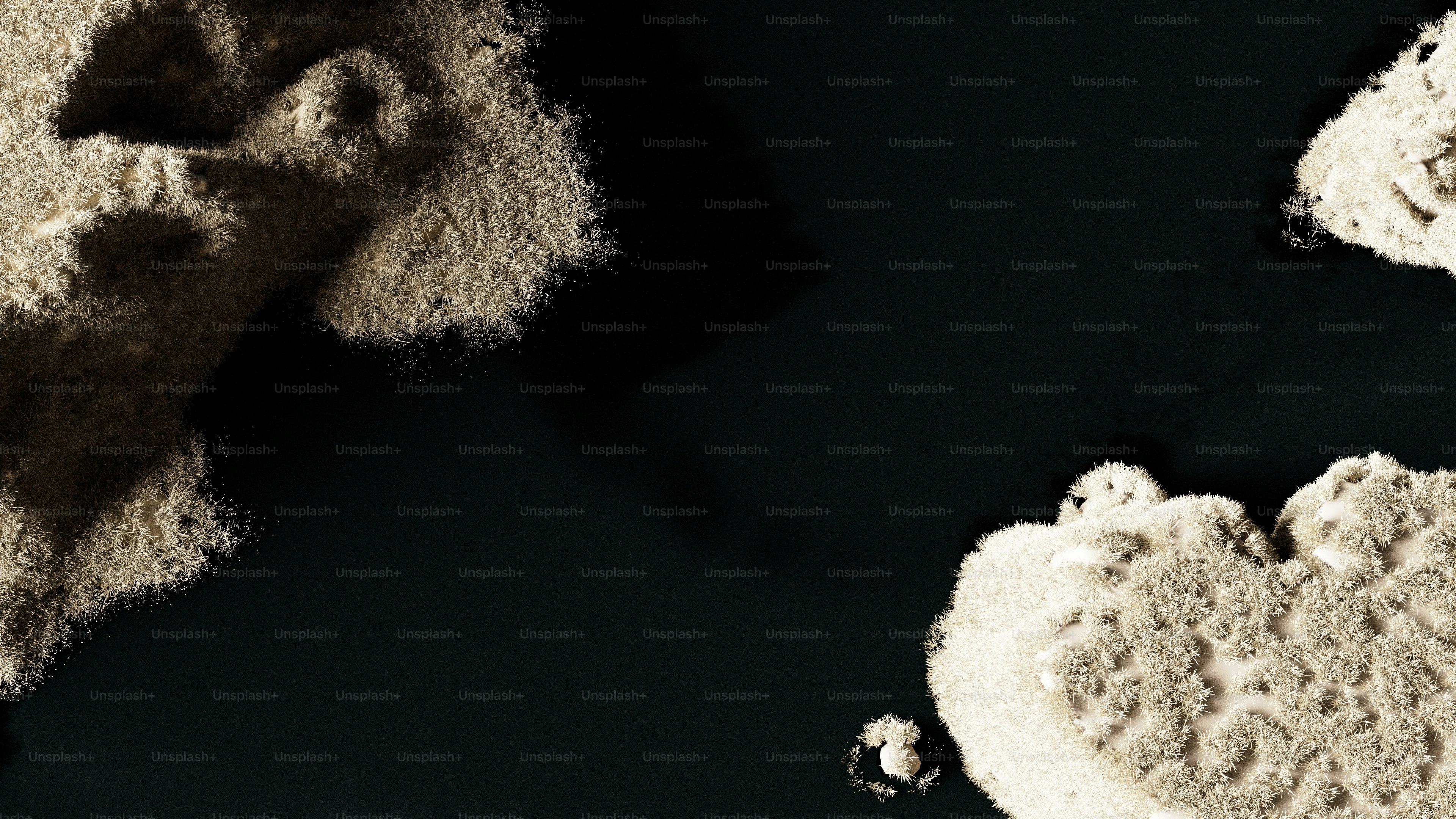 a couple of heart shaped pieces of sand