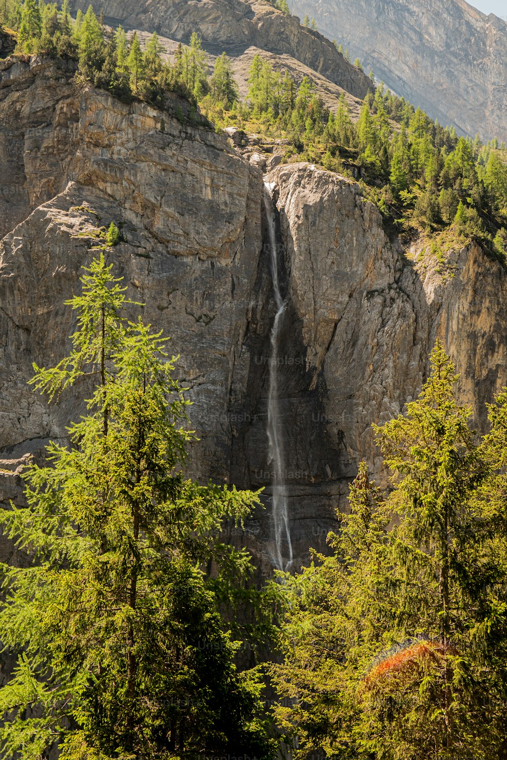 a waterfall in the middle of a forest