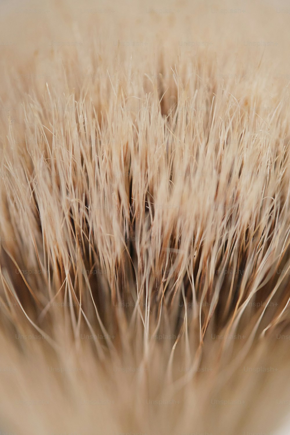 uma vista de perto de uma escova de cabelo