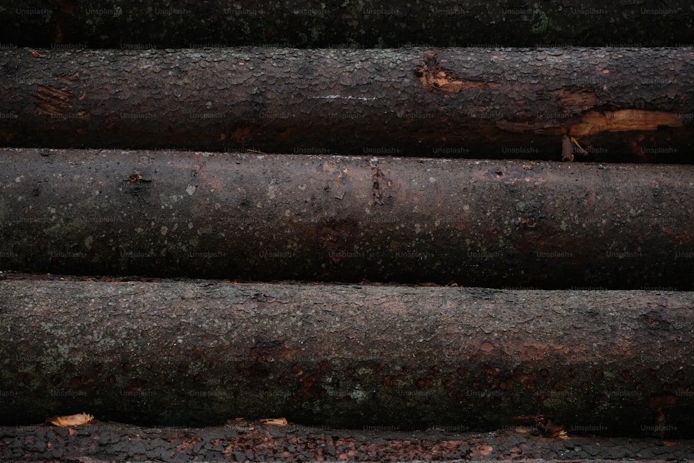 a bunch of logs stacked on top of each other