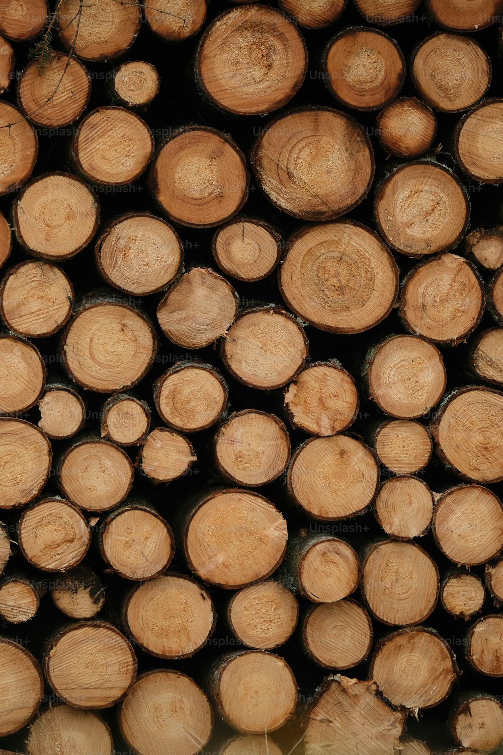 a pile of wood that has been cut in half