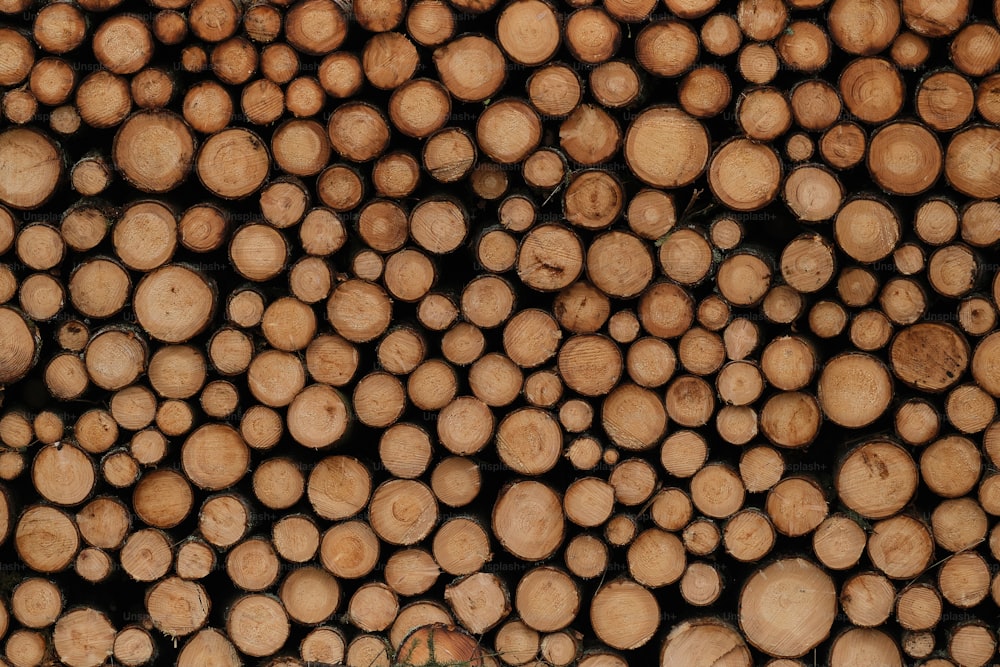 a pile of logs stacked on top of each other