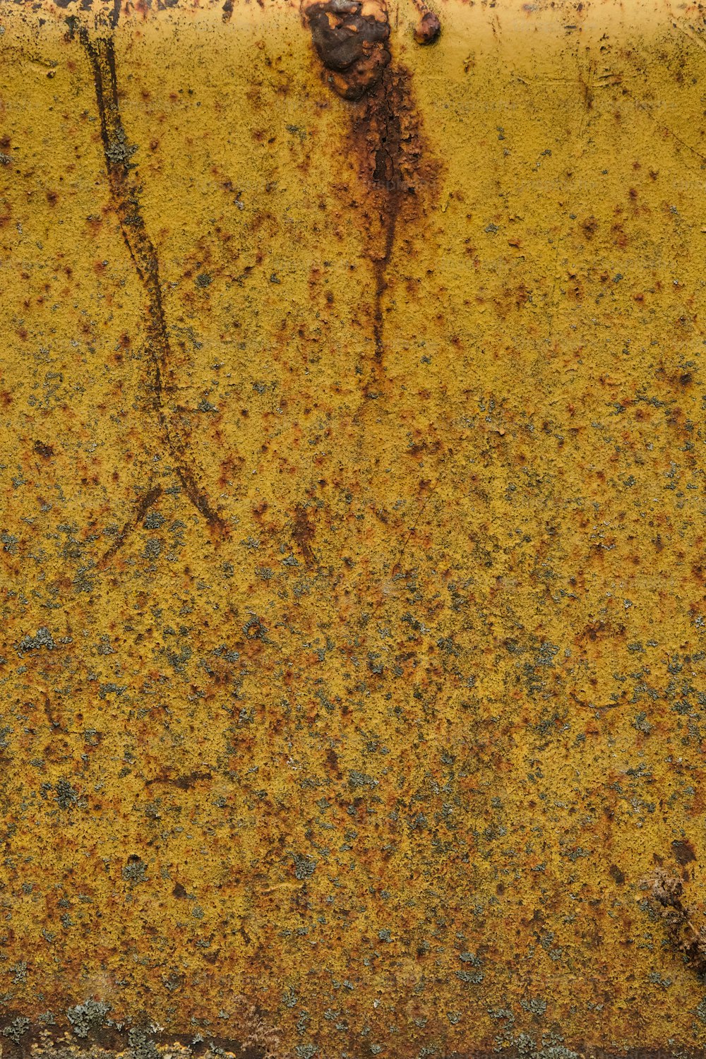 una superficie metálica oxidada con un pájaro en ella
