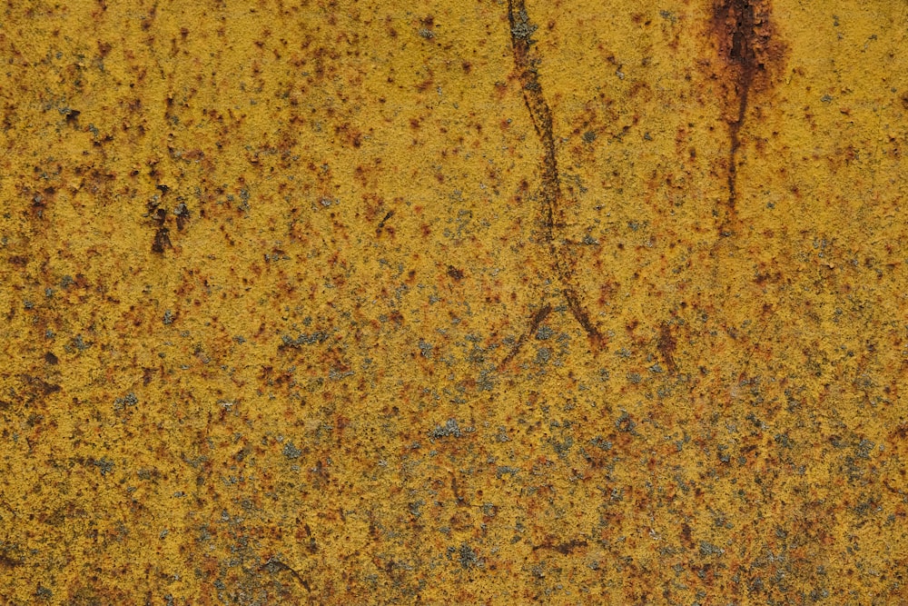 a close up of a rusted metal surface