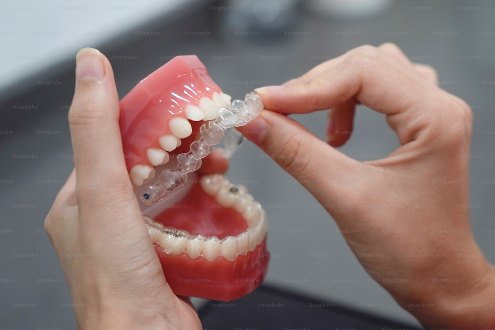 una persona che tiene un modello di plastica di un dente