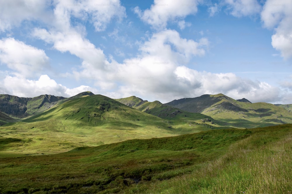 a grassy field with mountains in the background