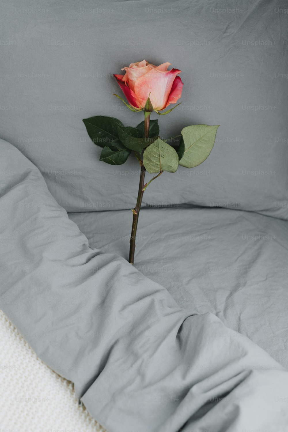 a single rose sitting on top of a bed