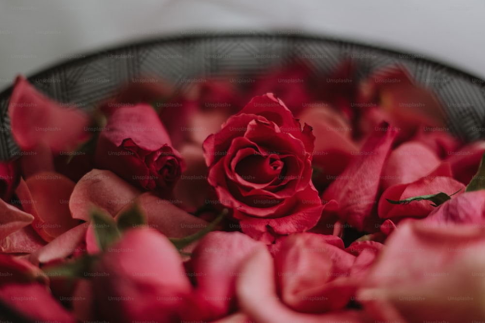 uma tigela cheia de rosas vermelhas em cima de uma mesa