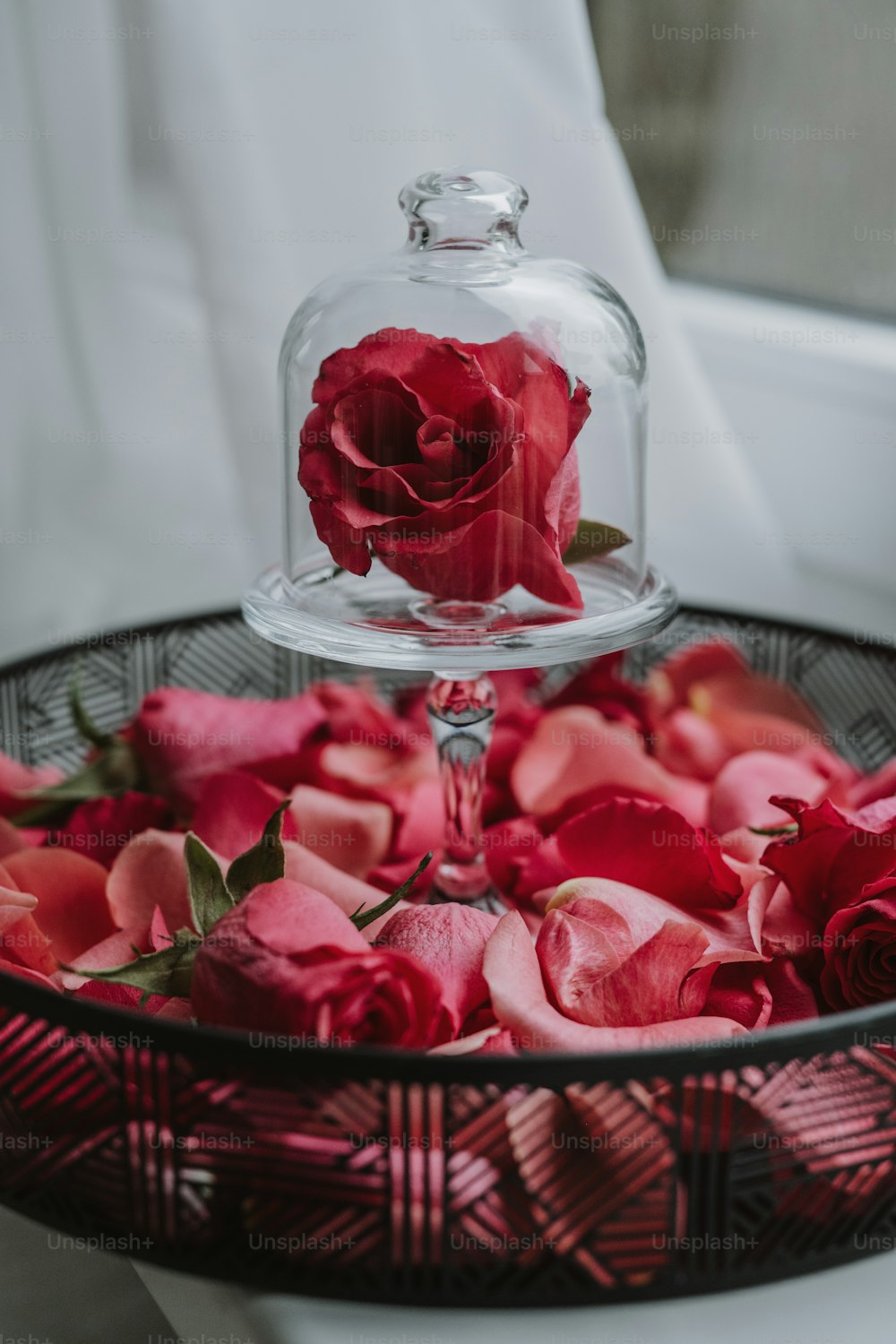 a glass clochel with a red rose in it