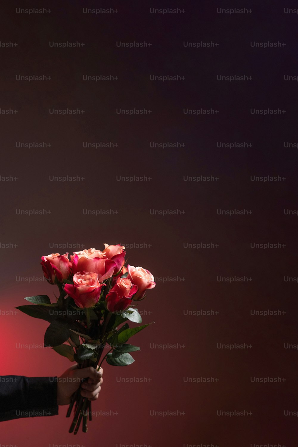 uma pessoa segurando um monte de rosas vermelhas