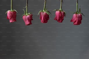a bunch of pink flowers hanging from a line