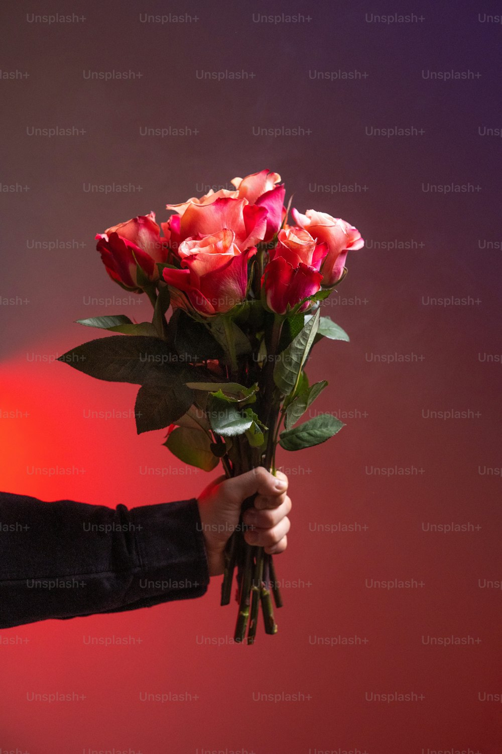 a person holding a bunch of red roses