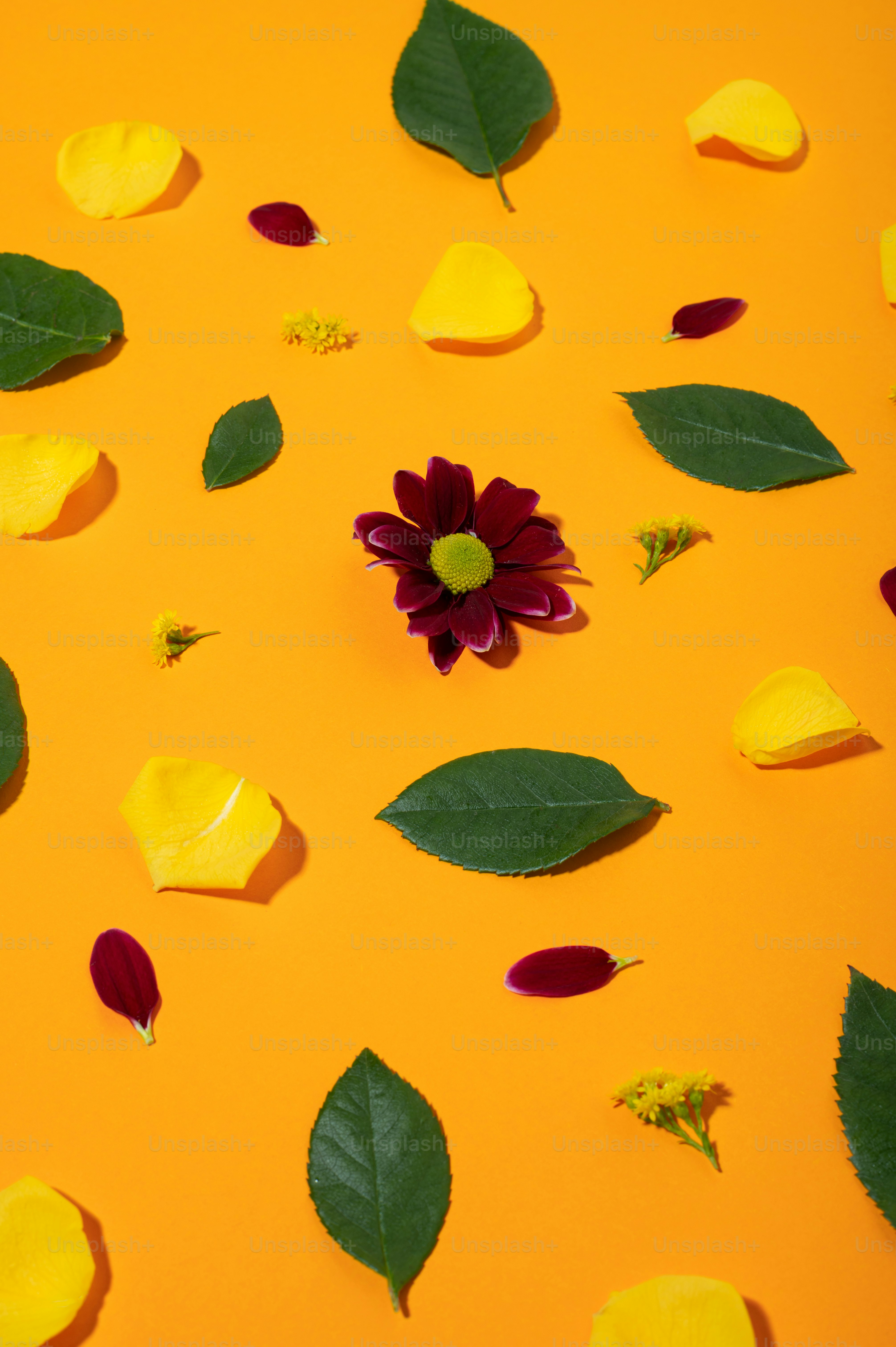 a red flower surrounded by green leaves on an orange background