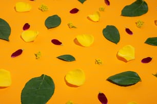 gelbe und rote Blütenblätter und grüne Blätter auf einer gelben Oberfläche