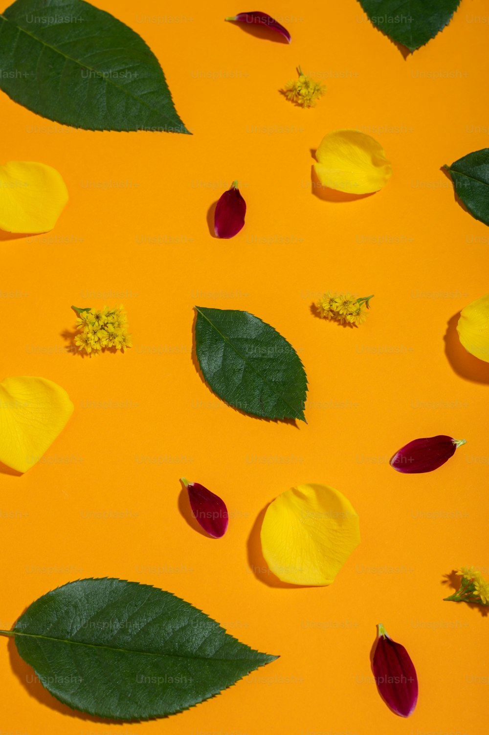a yellow background with leaves and flowers on it